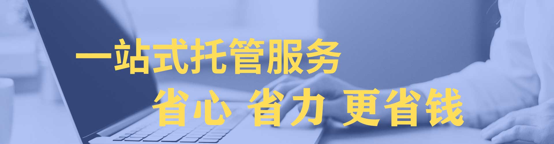 向阳sem竞价